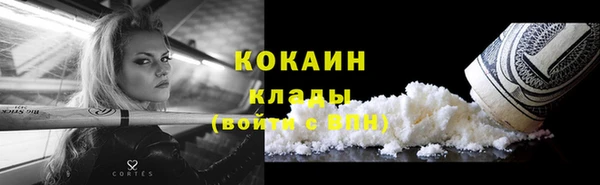 гашик Майский