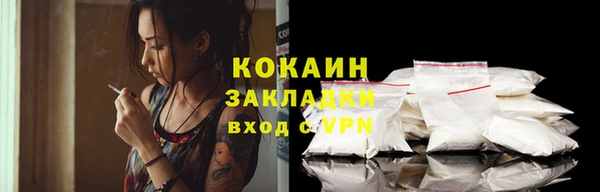 гашик Майский