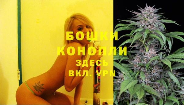 гашик Майский