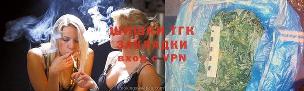 гашик Майский