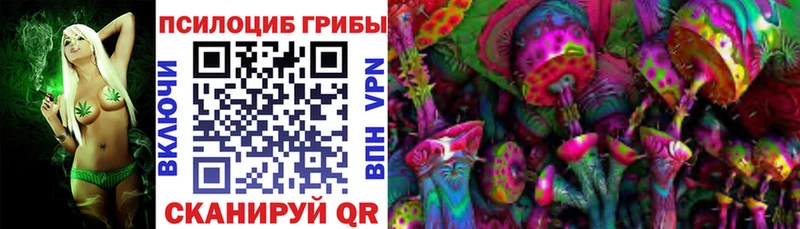 Псилоцибиновые грибы Psilocybine cubensis  Николаевск 