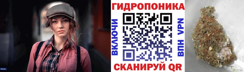 как найти наркотики  Николаевск  Конопля план 